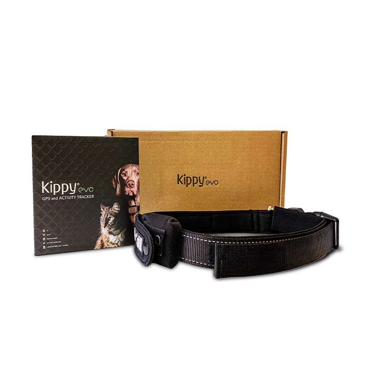 Kippy Evo Green Forest + Adjustable collar